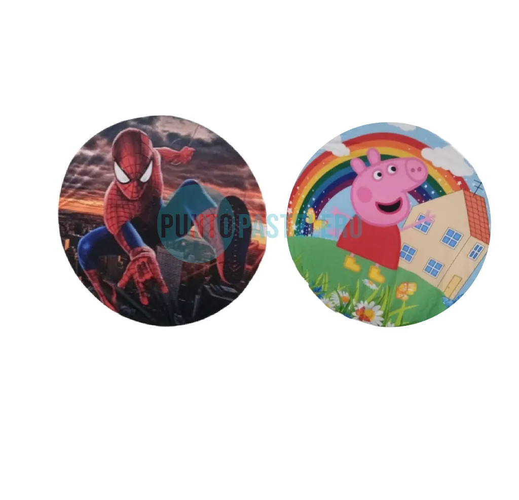 ALQUILER PANEL REDONDO + FUNDA-01.webp