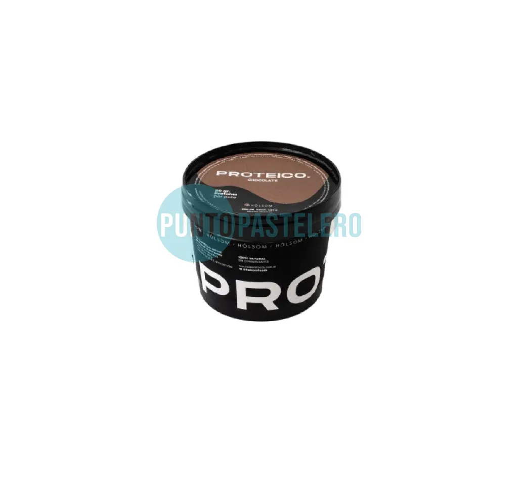HELADO PROTEICO CHOCOLATE HOLSOM (X 250 GR.) (SIN AZUCAR)-01.webp