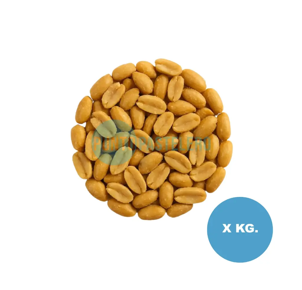 [MANICC] MANI TOSTADO CON SAL  (X KG.) [107]