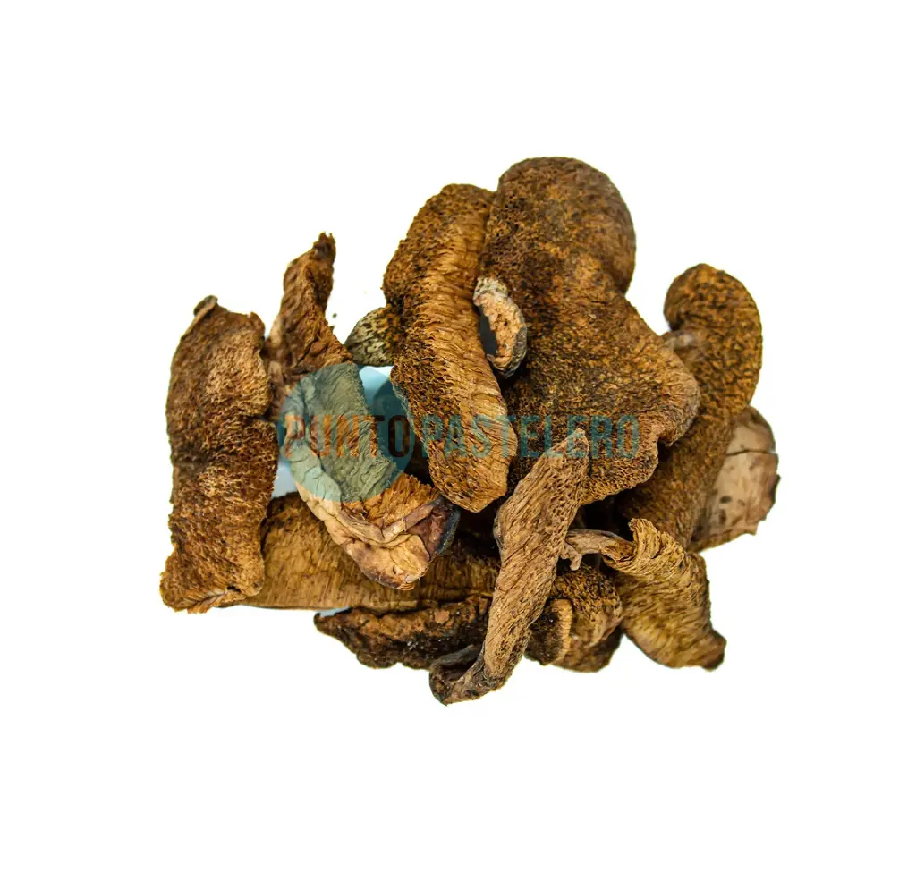 HONGOS SECOS DE PINO  (X KG.) [58]