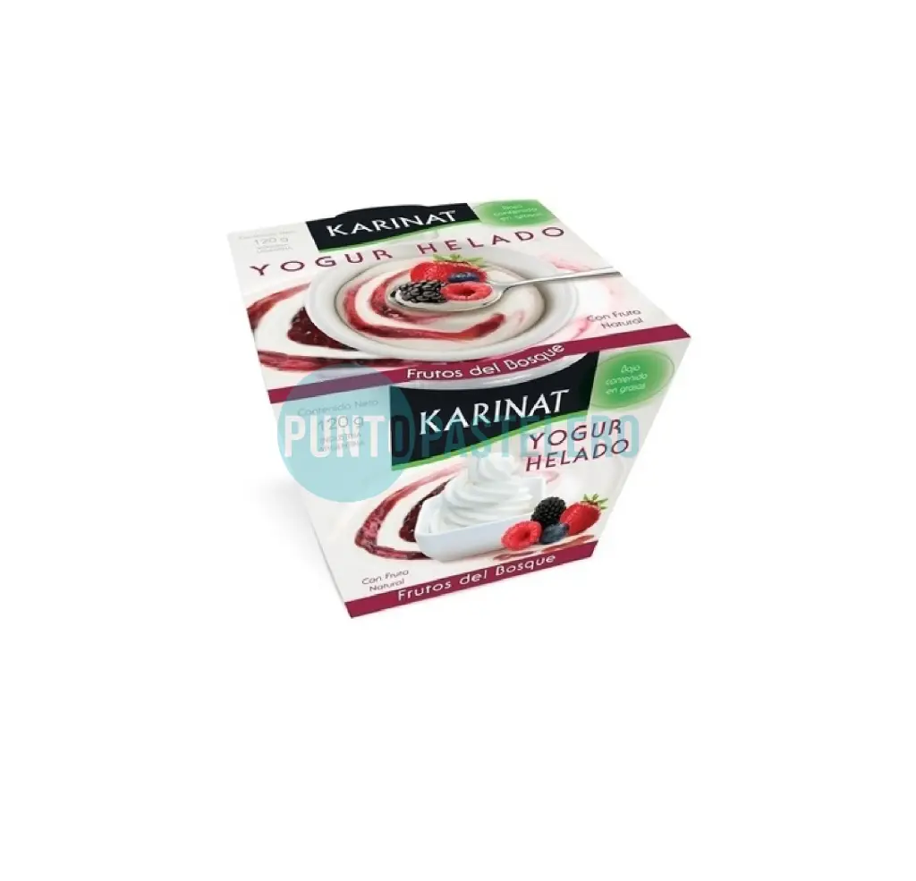 [7798141132065] YOGURT GRIEGO HELADO KARINAT FRUTOS DEL BOSQUE (X 120 GR.) (SIN TACC)