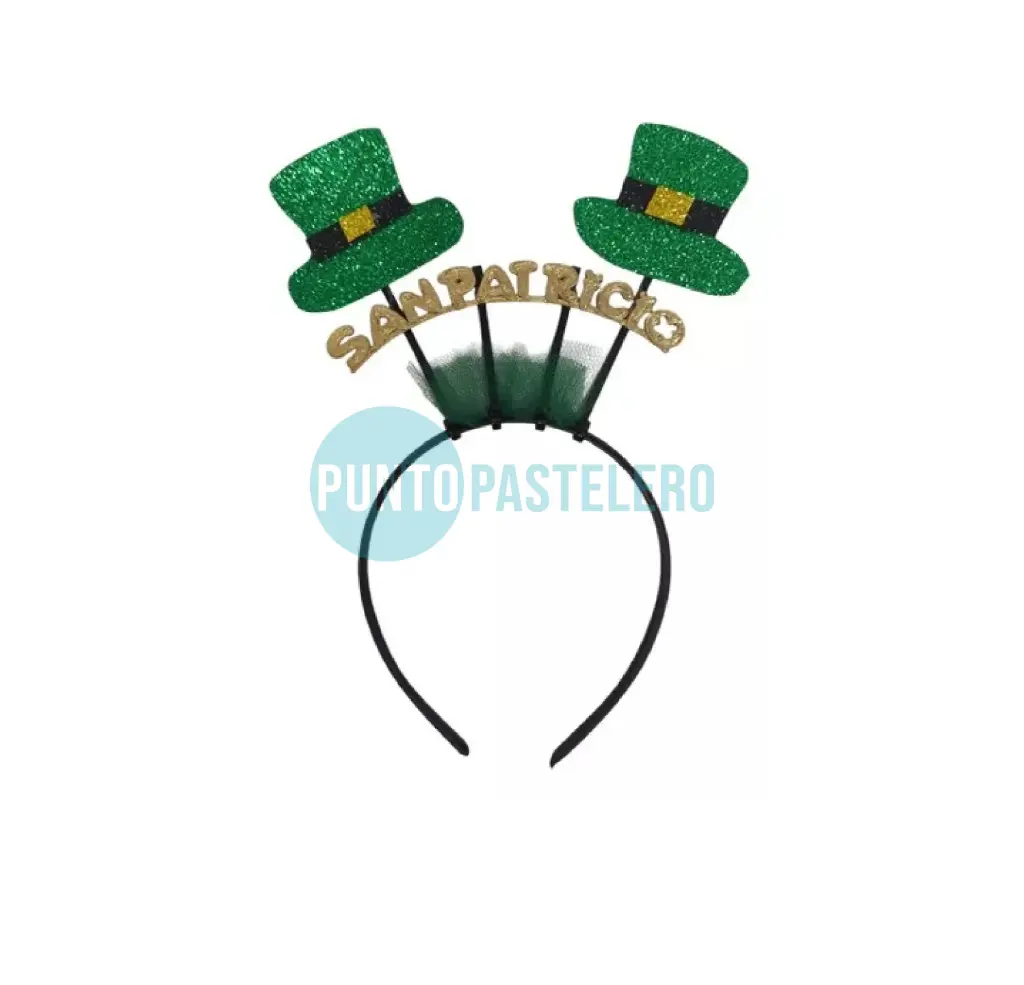 VINCHA SAN PATRICIO