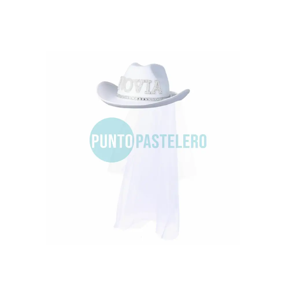 SOMBRERO VAQUERO CON VELO NOVIA BLANCO