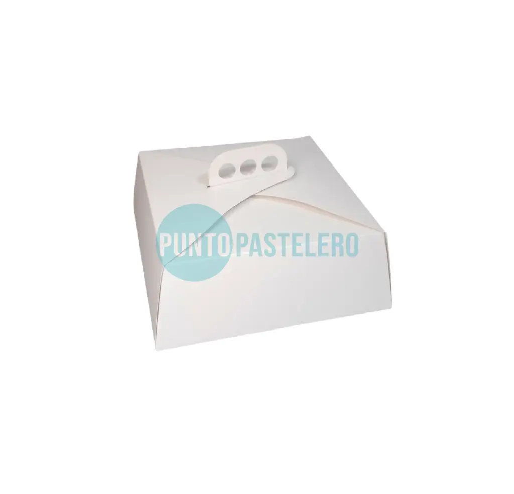 [CAJ115] CAJA PARA TORTA MALETIN (20X20X12 CM) [80]