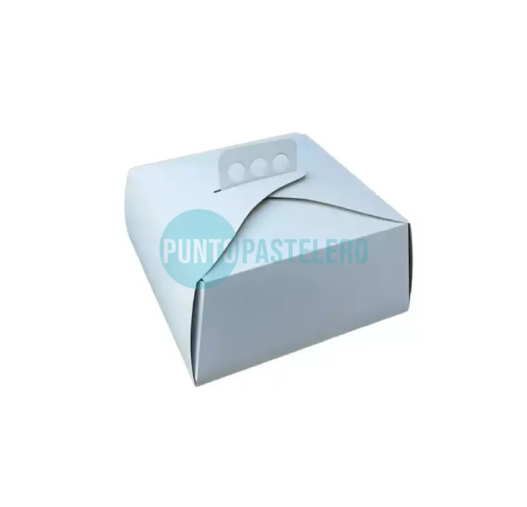 [CAJ116] CAJA PARA TORTA MALETIN (27X27X12 CM) [68]