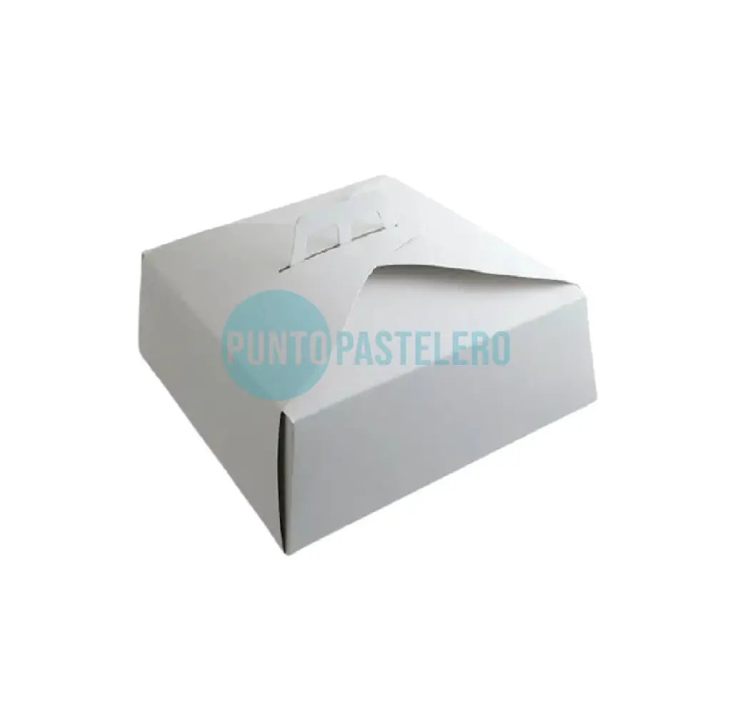 CAJA PARA TORTA MALETIN (32X32X12 CM) [69]