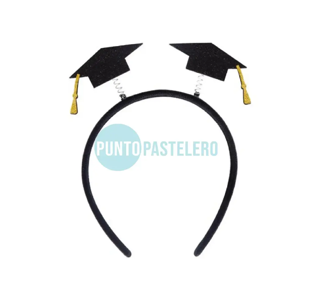 VINCHA EGRESADOS ANTENITAS