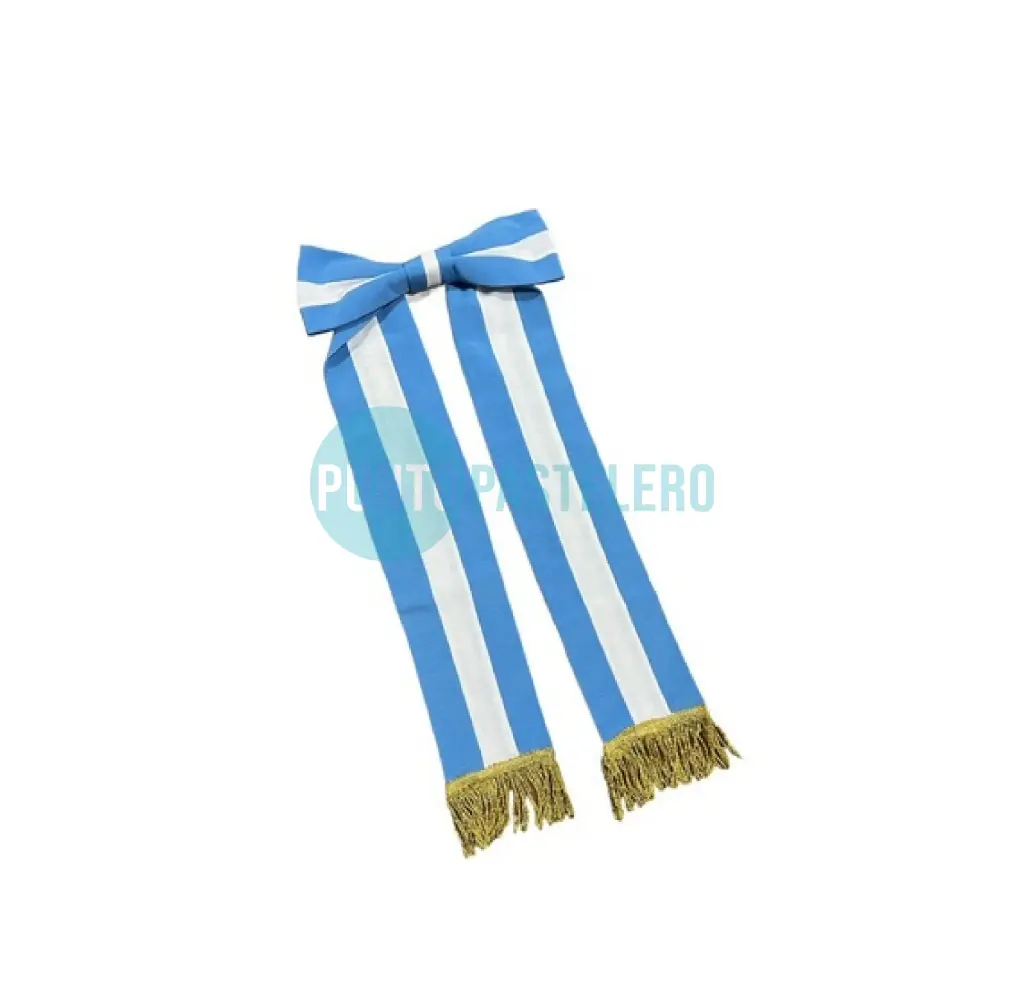 BANDA PATRIA ARGENTINA CON PIN