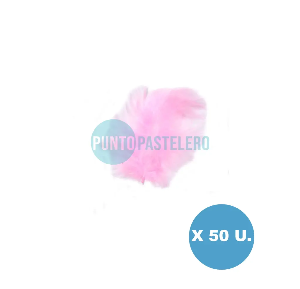 PLUMA ECONOMICA CHICA ROSA N°6 CBX (50 U.)