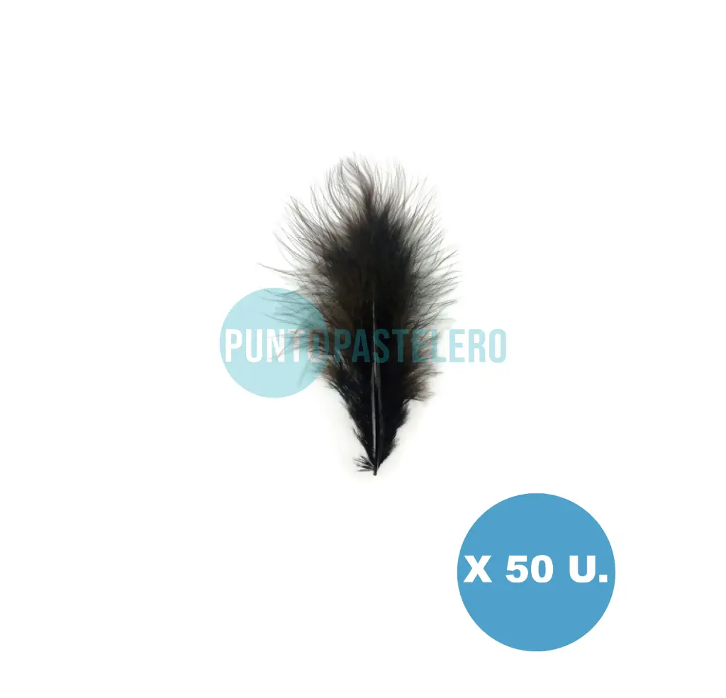 PLUMA ECONOMICA CHICA NEGRA N°14 CBX (X 50 U.)