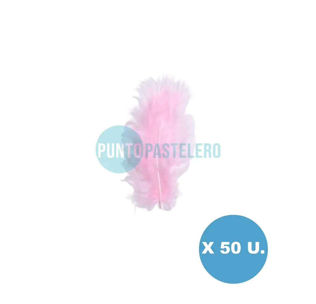 PLUMA ECONOMICA CHICA ROSA N°15 CBX (50 U.)