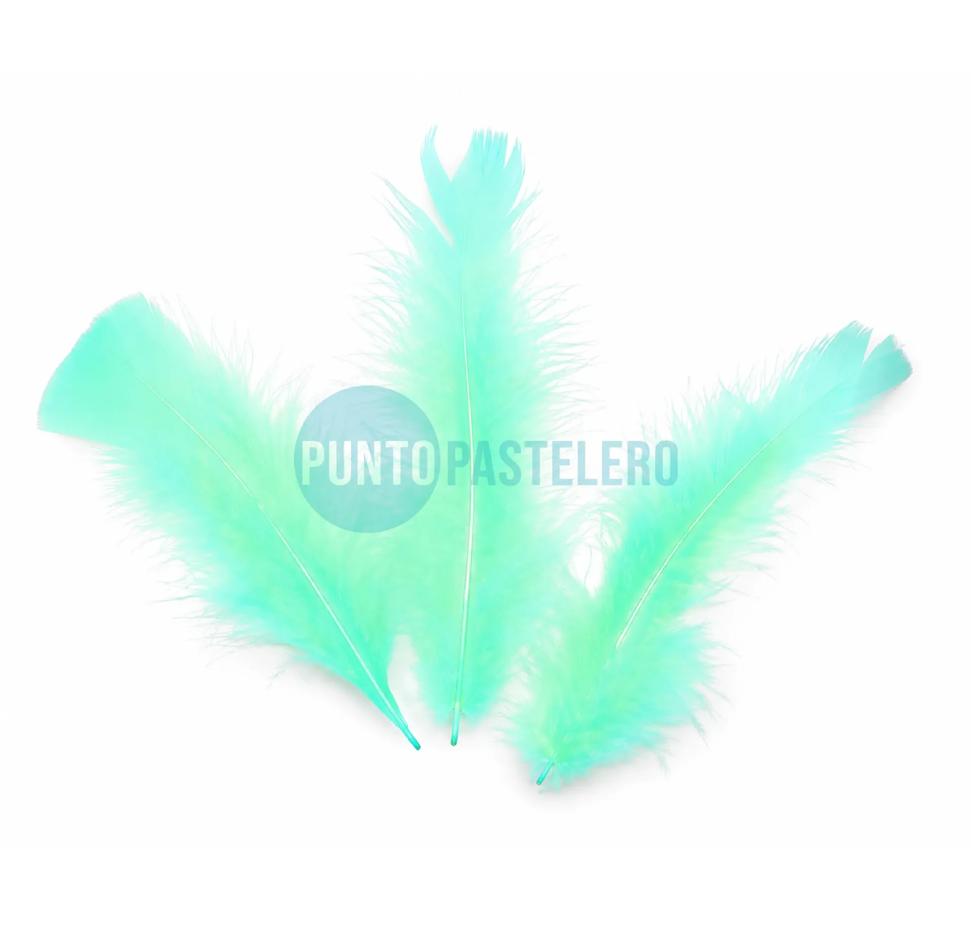 PLUMA ECONOMICA CHICA VERDE AGUA N°15 CBX (50 U.)