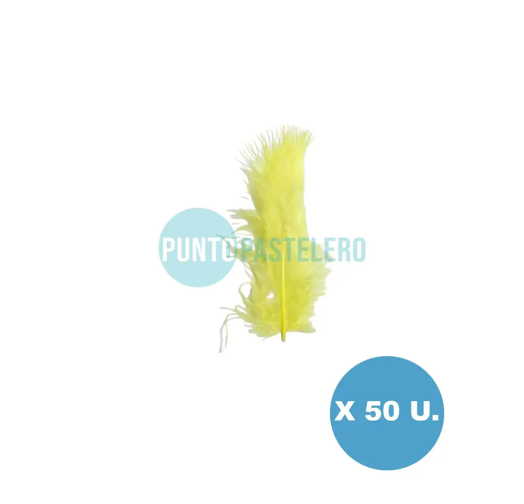 PLUMA ECONOMICA CHICA AMARILLA N°16 CBX (50 U.)