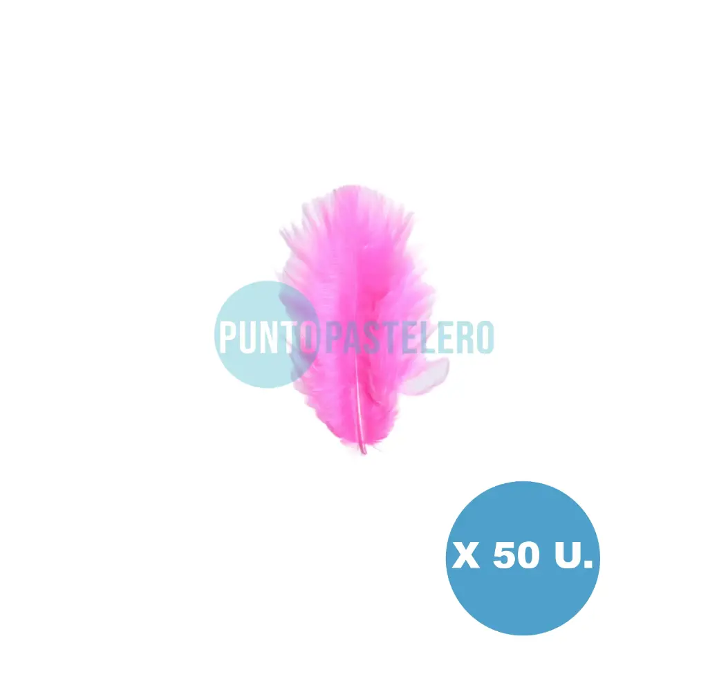 PLUMA ECONOMICA CHICA FUCSIA N°17 CBX (50 U.)