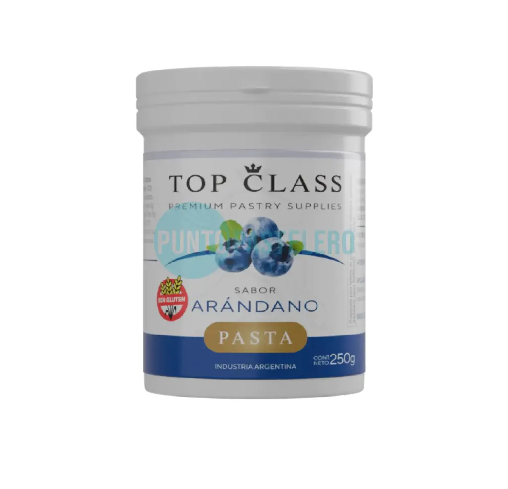 PASTA SABORIZANTE TOP CLASS ARANDANOS (X 250 GR.)