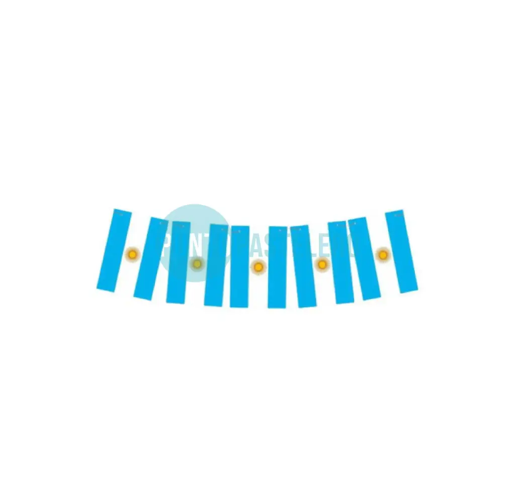 BANDERIN BANDERA ARGENTINA GIGANTE (2.40 MT.)