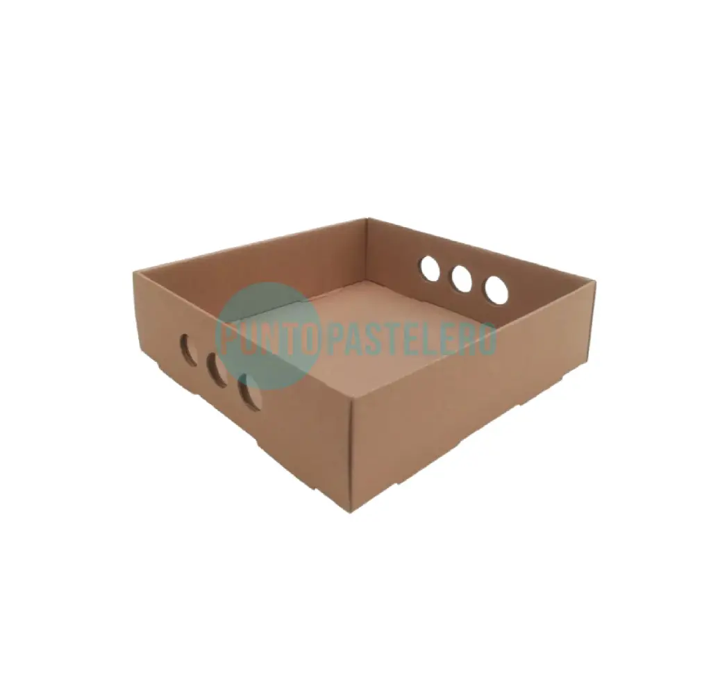 BANDEJA DESAYUNO MICROCORRUGADO (30X30X6 CM) [97 BIS]