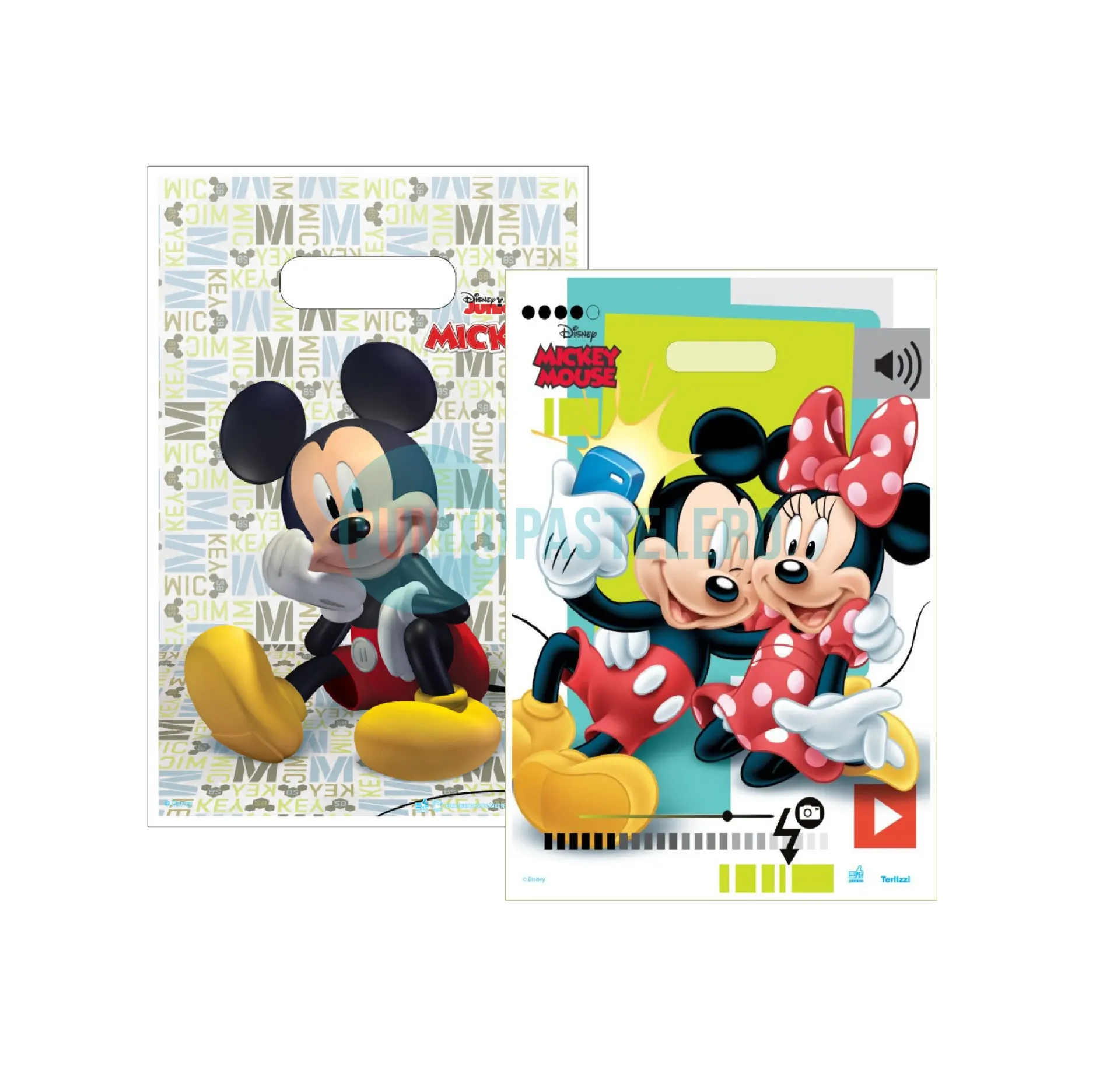 BOLSA RIÑON ESTAMPADA TERLIZZI 35X45 (DISNEY) (X 50 U.)