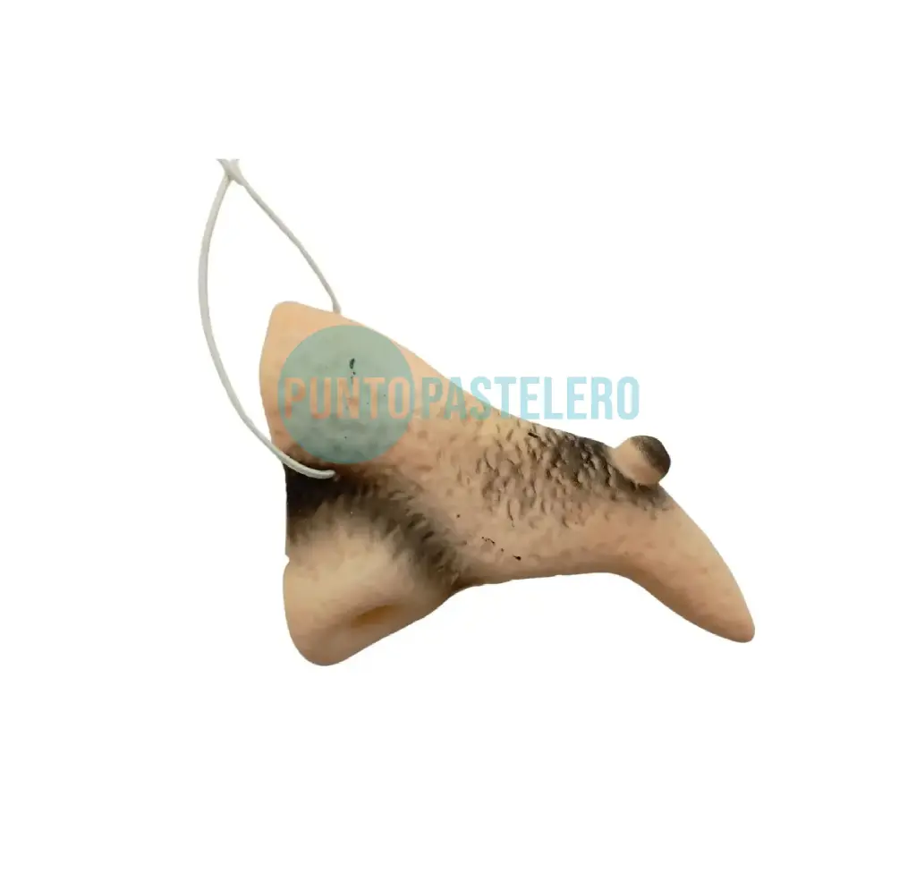 NARIZ DE LATEX BRUJA