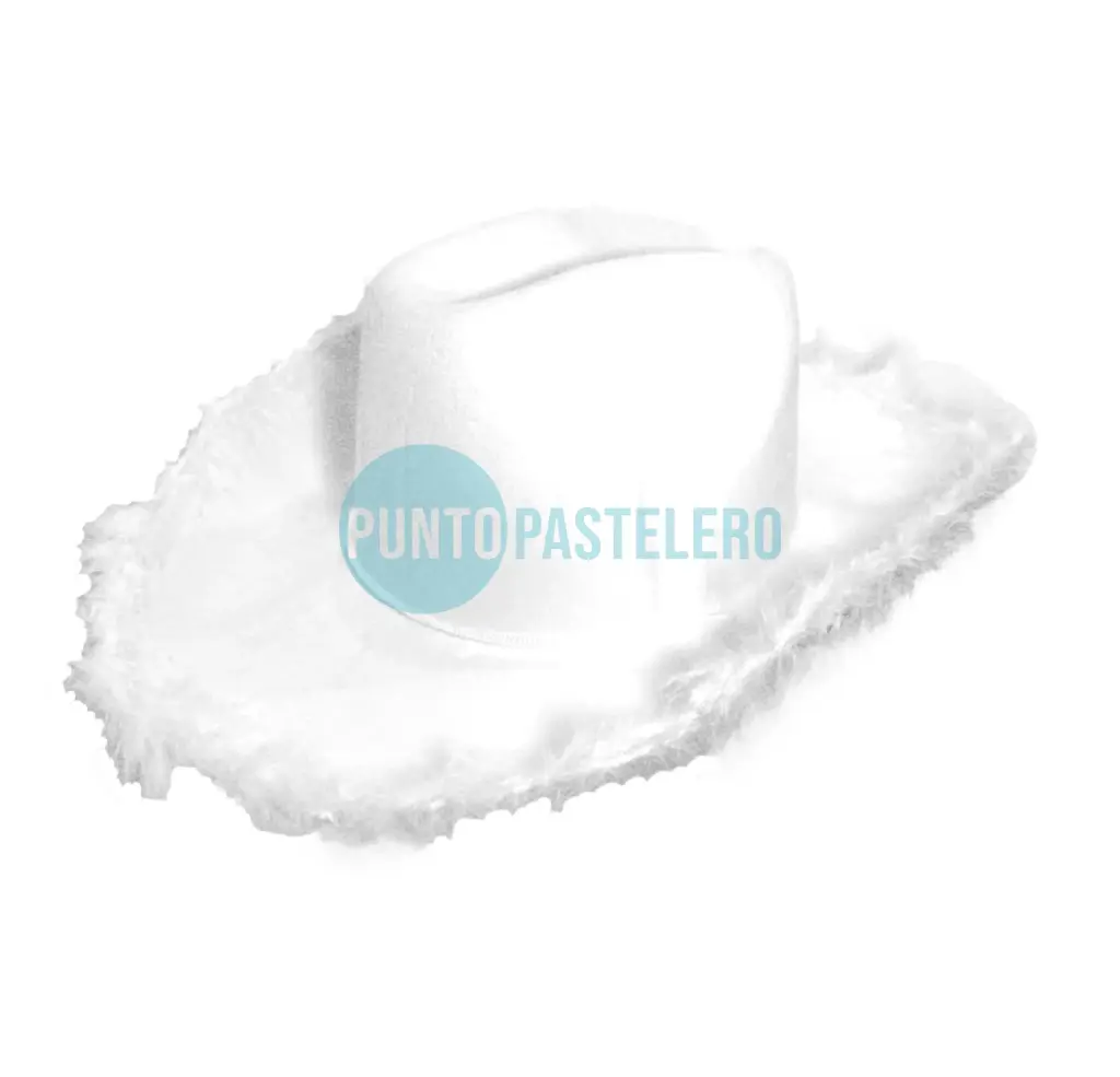 GORRO COWBOY BLANCO CON PLUMAS