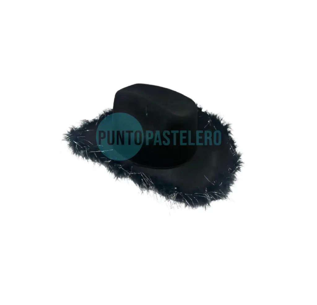 GORRO COWBOY NEGRO CON PLUMAS