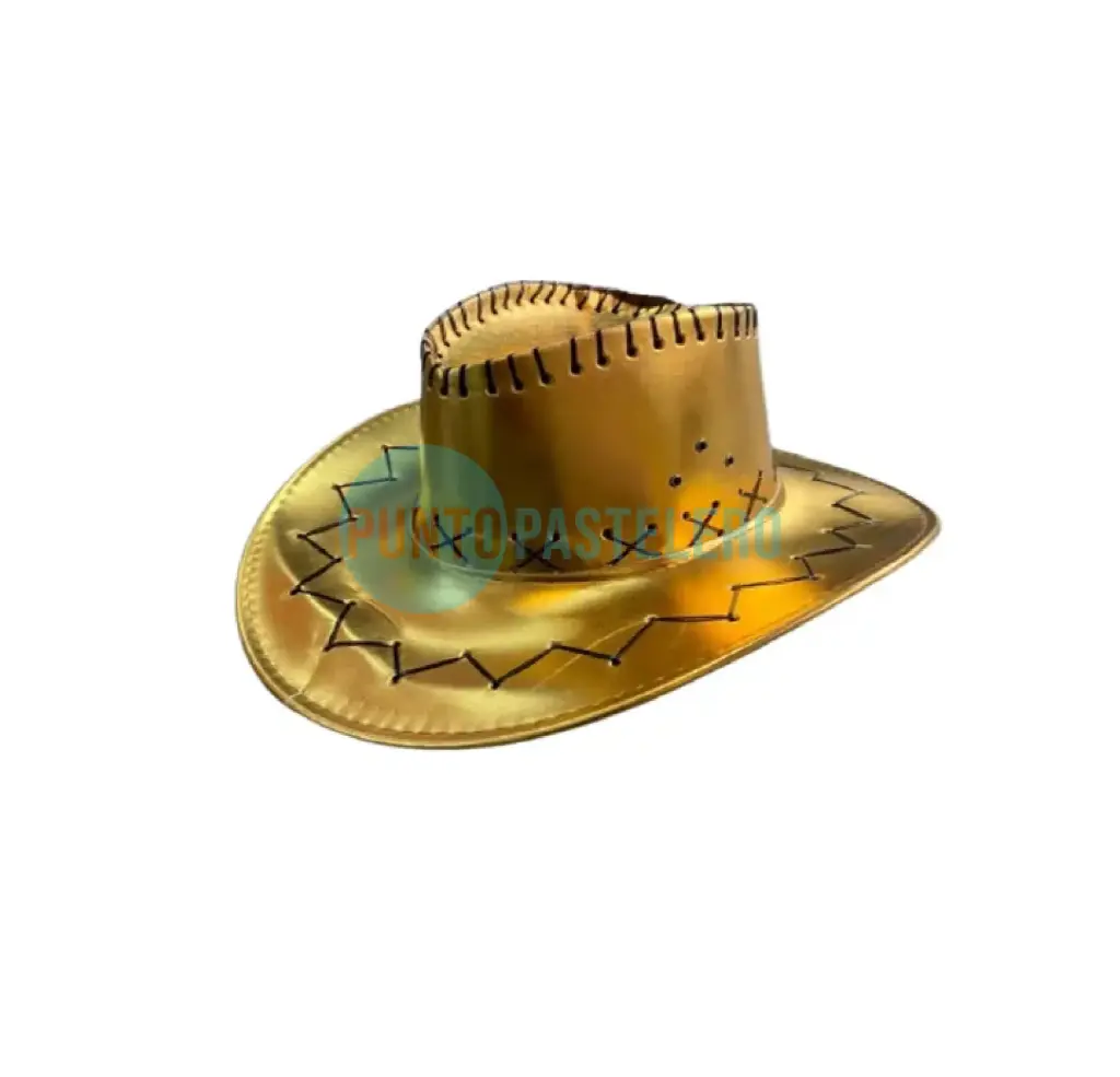 GORRO COWBOY ROSA CON PLUMAS