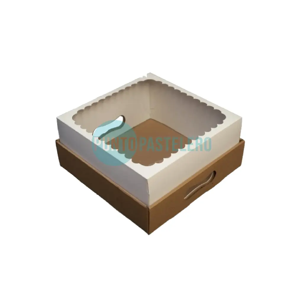 CAJA PARA DESAYUNO BASE MICRO Y TAPA VISOR (30X30X12 CM) [97]