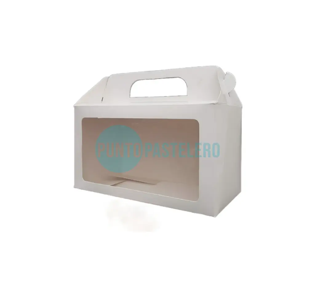 CAJA MALETIN CON VISOR (13X25X14 CM) [84]