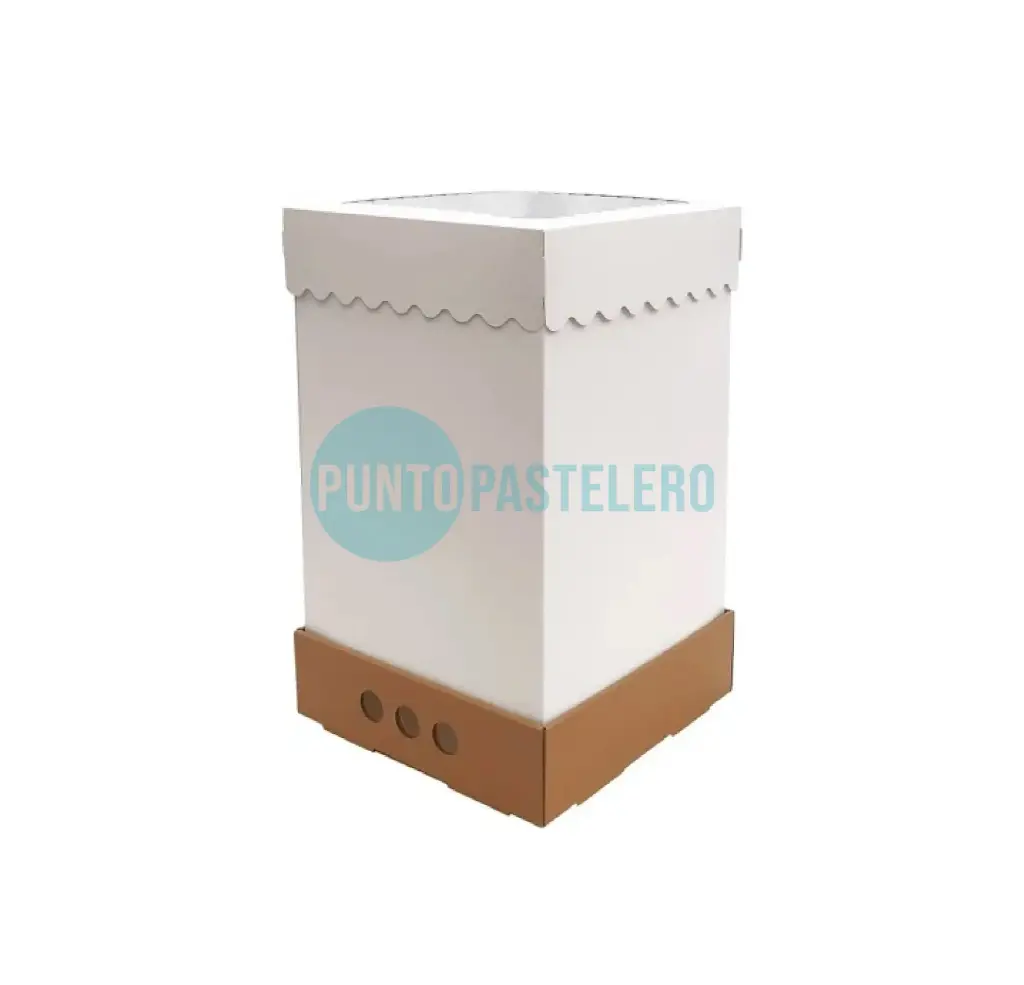 [CAJ112] CAJA PARA DRIPCAKE MEDIA (25X25X25 CM) [101]