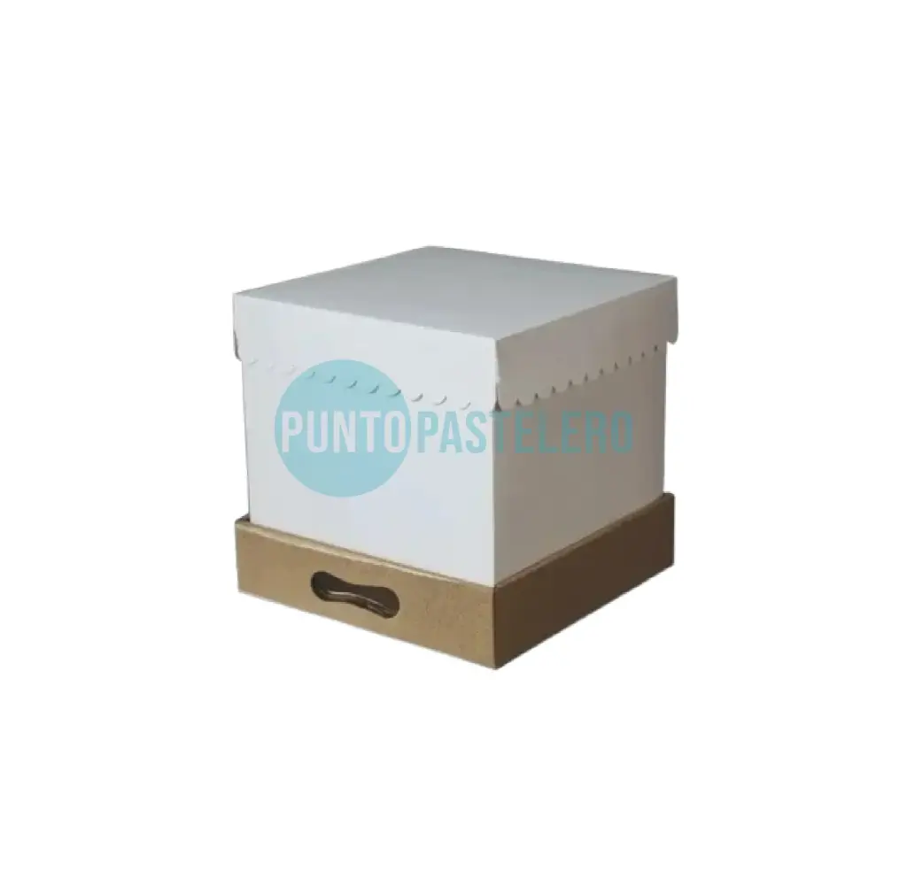 [CAJ113] CAJA PARA DRIPCAKE LARGE (25X25X40 CM) [102]