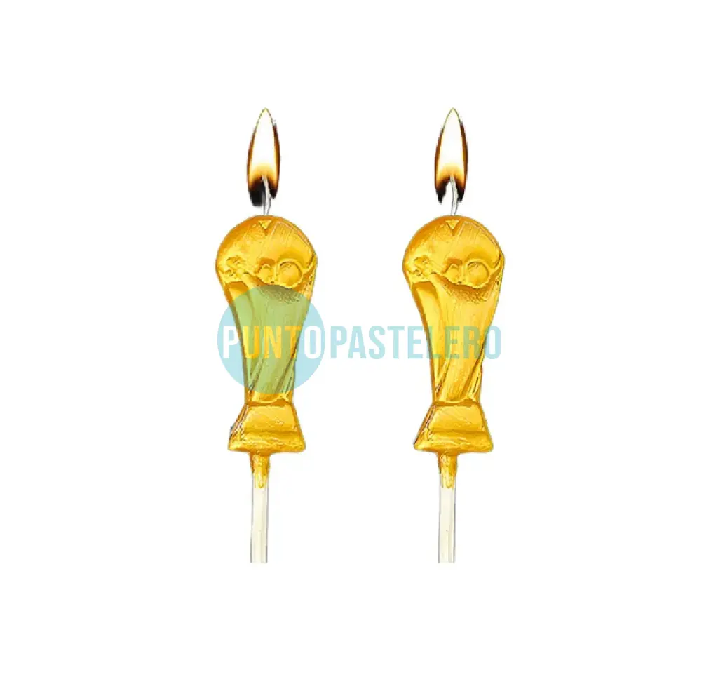 VELA PINCHE COPA DEL MUNDO