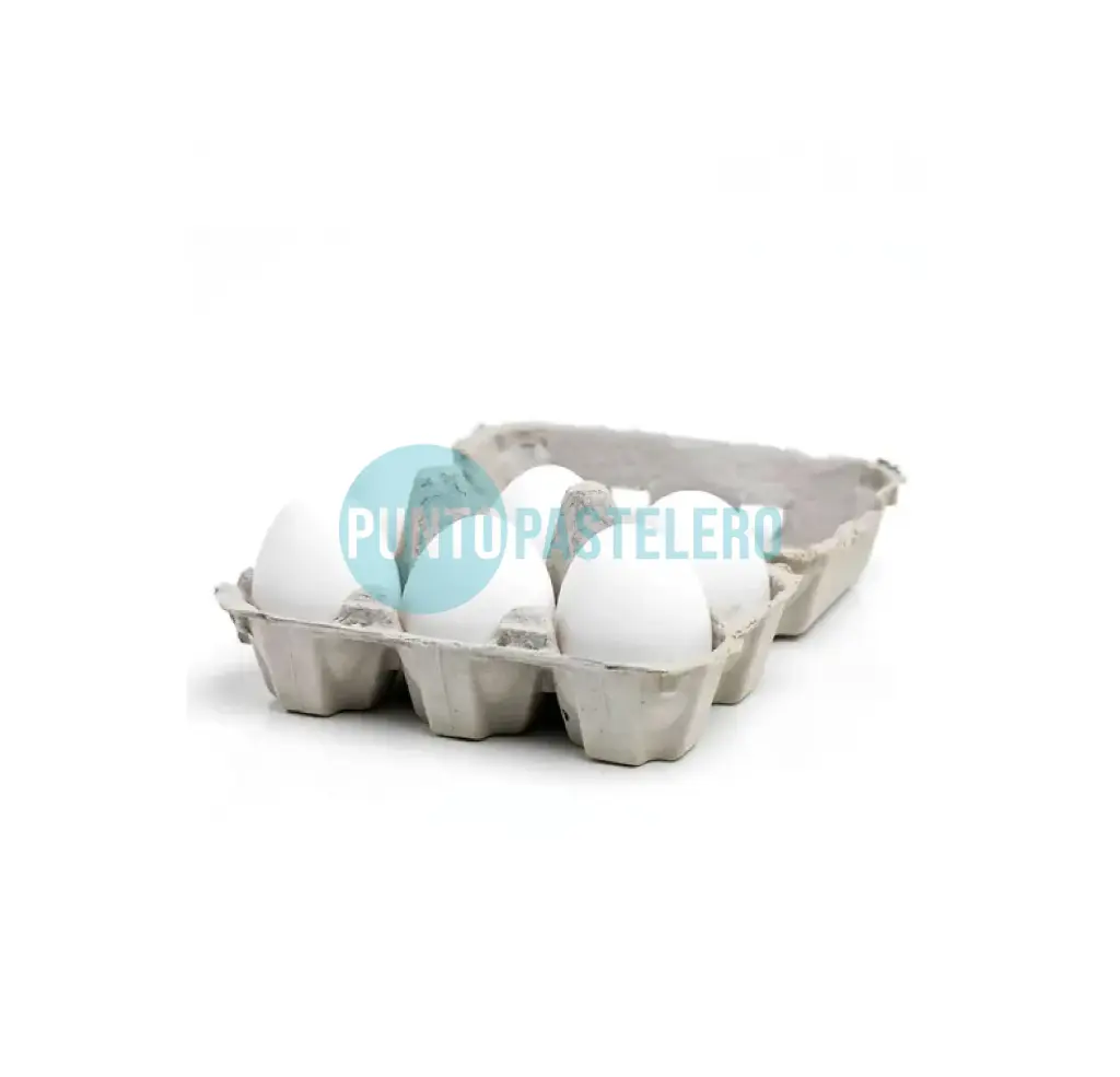 HUEVOS (X MEDIA DOCENA)