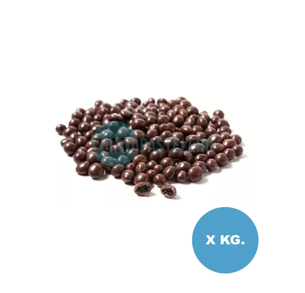 PASAS DE UVA CON CHOCOLATE NEGRO AGOFA (X KG.) (GRANEL)