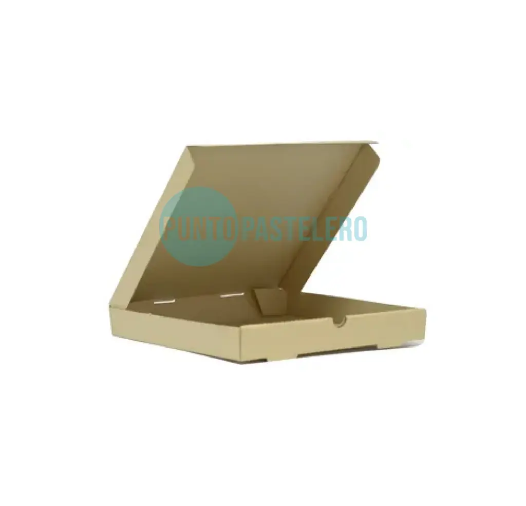 CAJA PARA PIZZA CARTON GRIS 4 P (30X16X3 CM) [3]