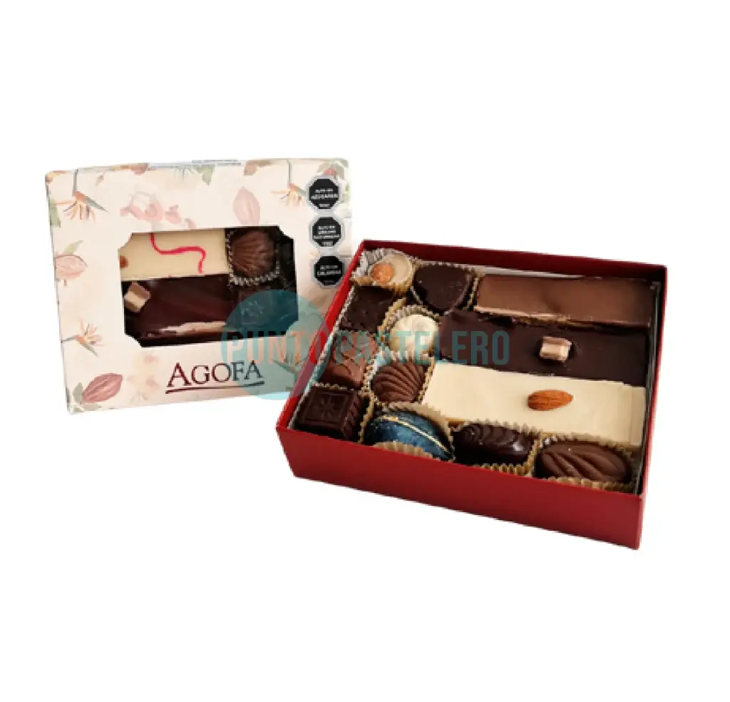 ESTUCHE VISOR CON CHOCOLATES SURTIDO CHICO AGOFA (X 250 GR.)