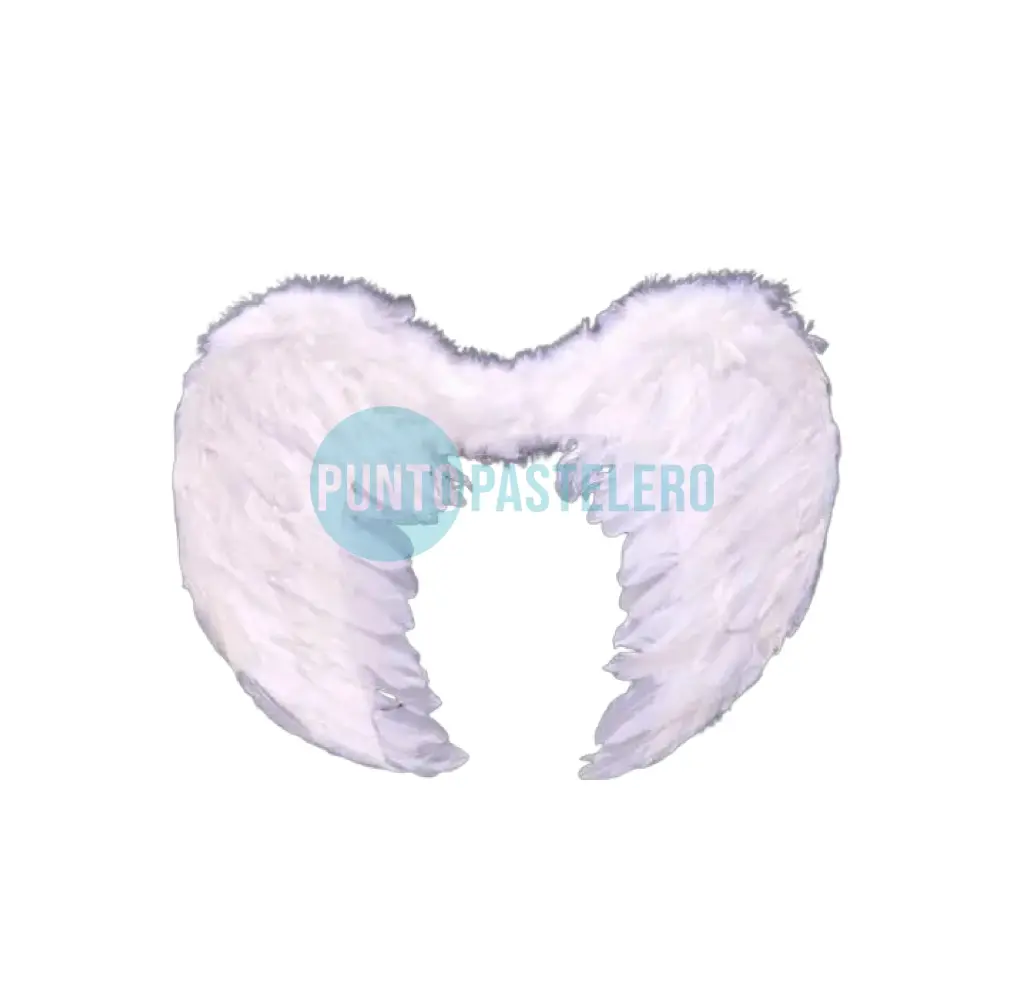 ALAS ANGEL CON PLUMAS BLANCAS/NEGRAS