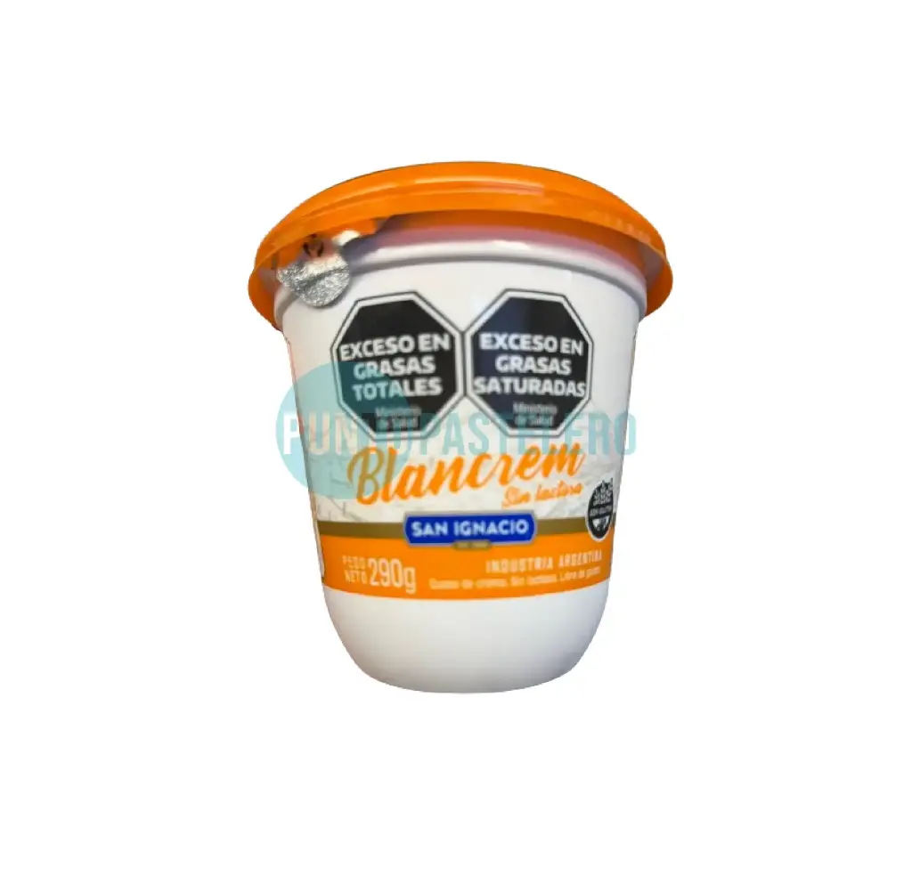 QUESO CREMA SAN IGNACIO SIN LACTOSA (X 290 GR.) (SIN TACC)