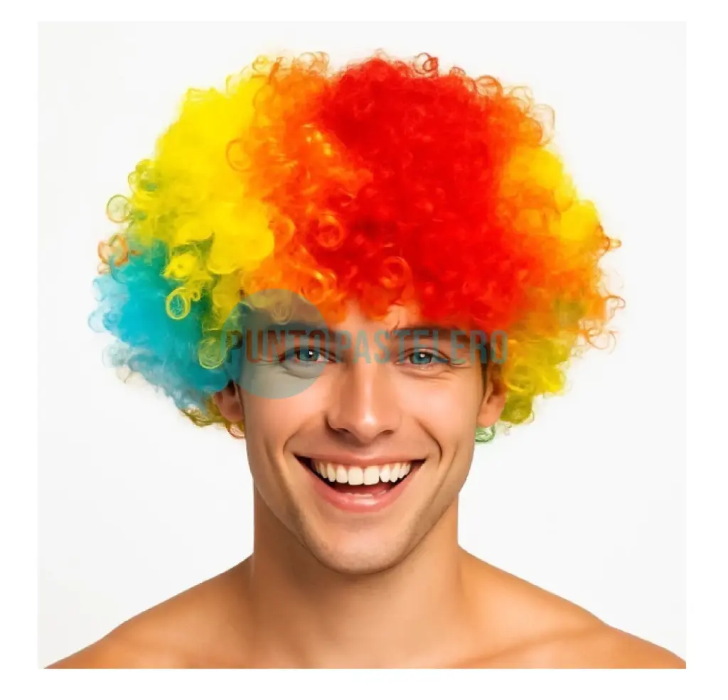 PELUCA PAYASO MULTICOLOR (120 GR.)