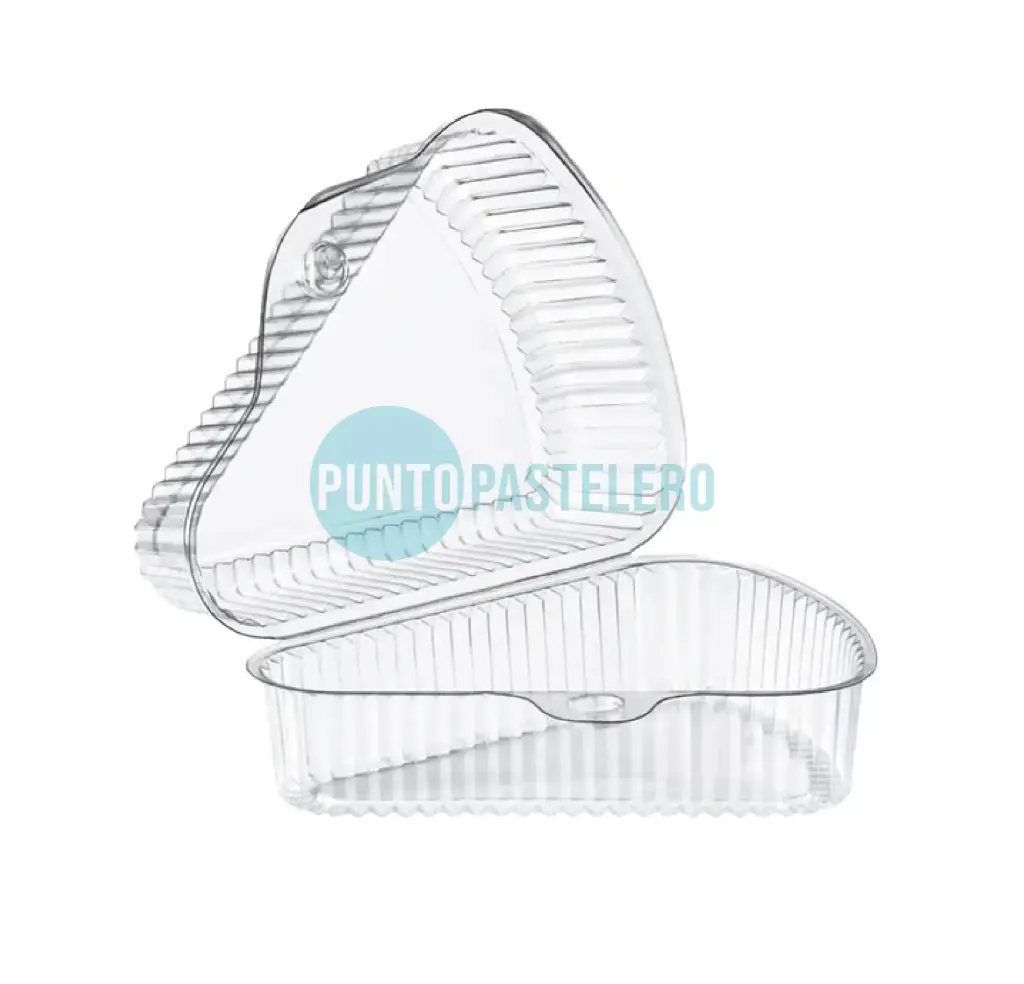 BLISTER PORCION DE TORTA ZAPLAST GRANDE [500]