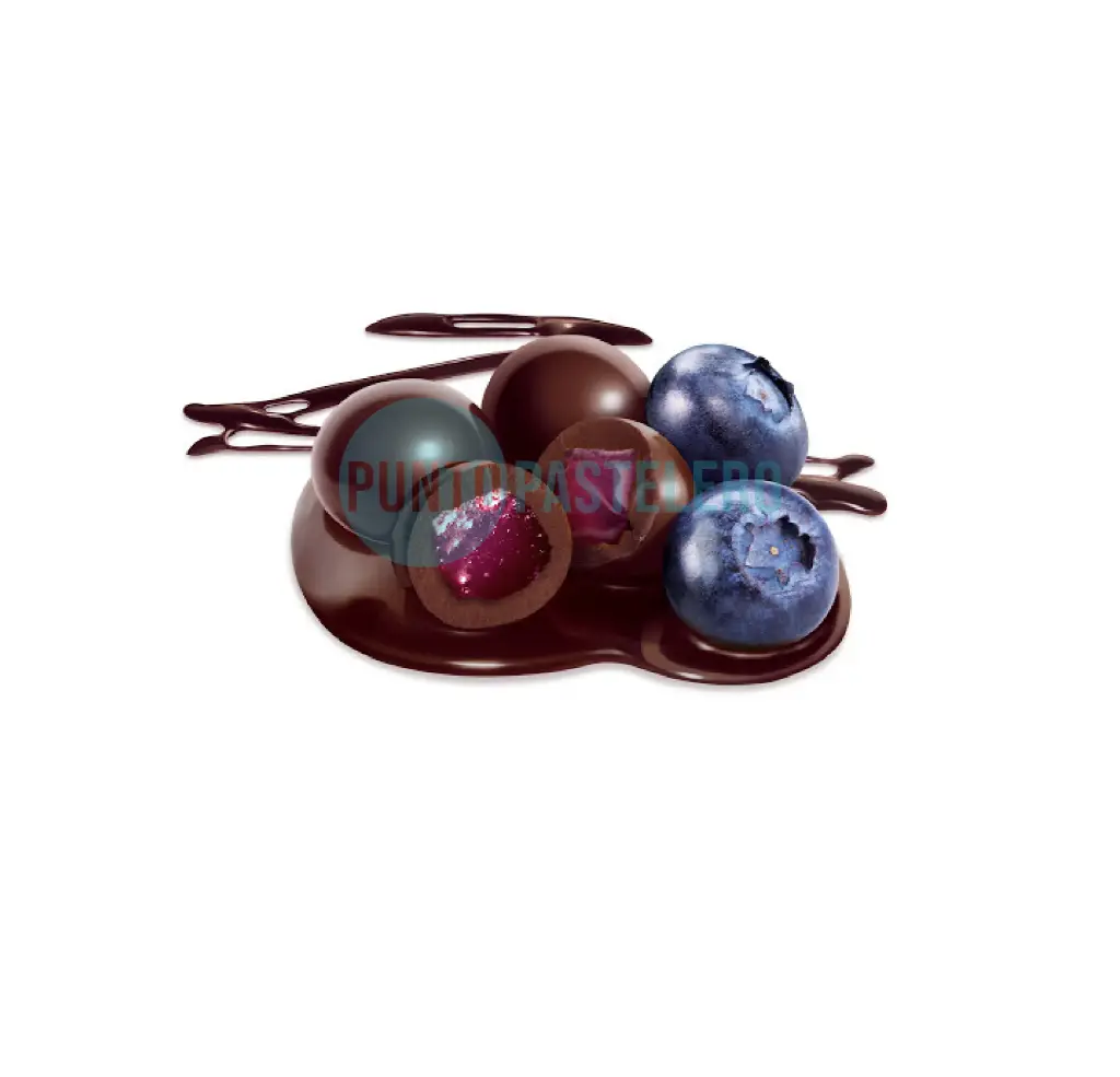 [ARACX1] ARANDANOS BAÑADOS EN CHOCOLATE AGOFA (X KG.)