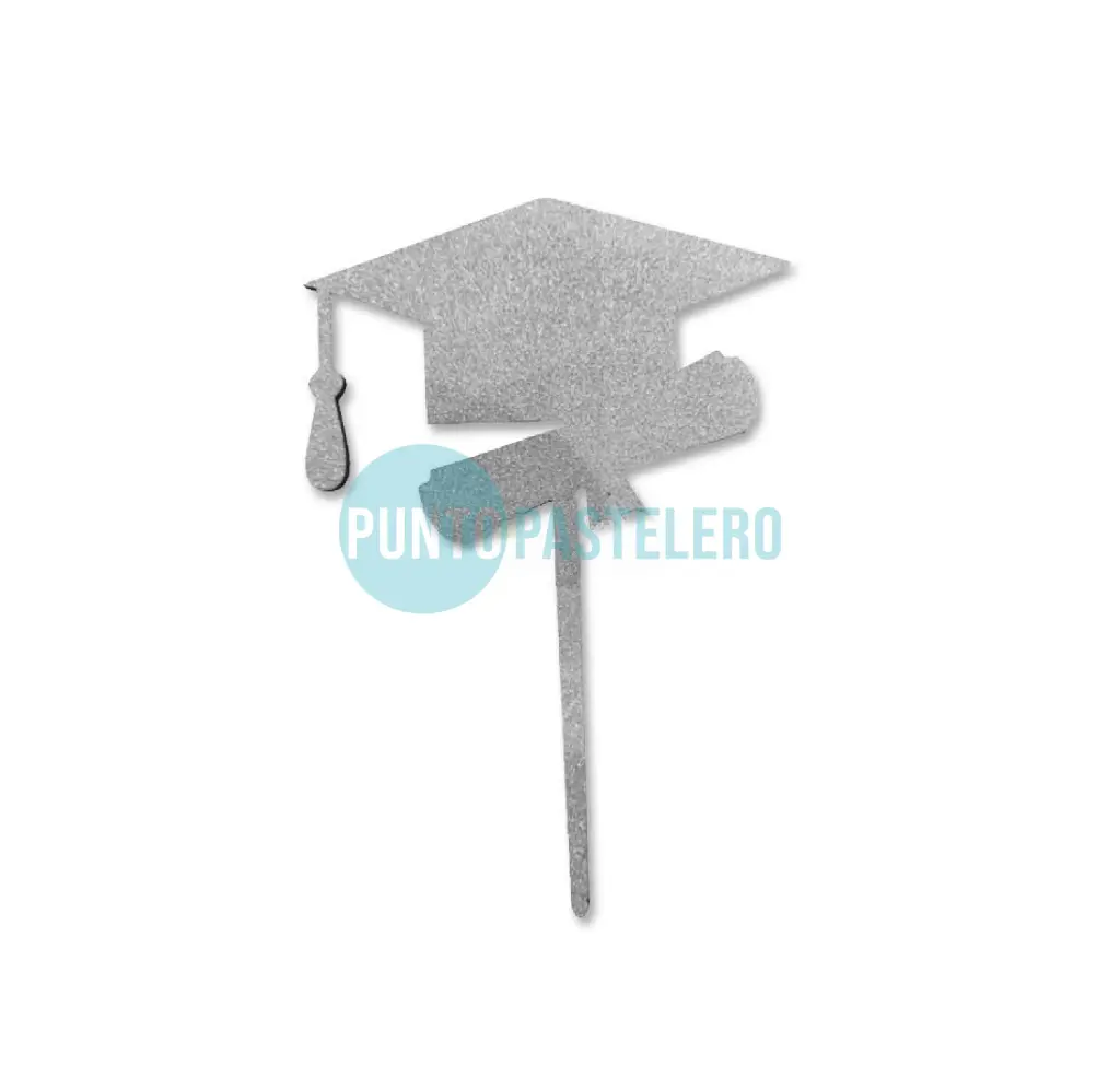 PINCHE FIBROFACIL EGRESADO PLATA