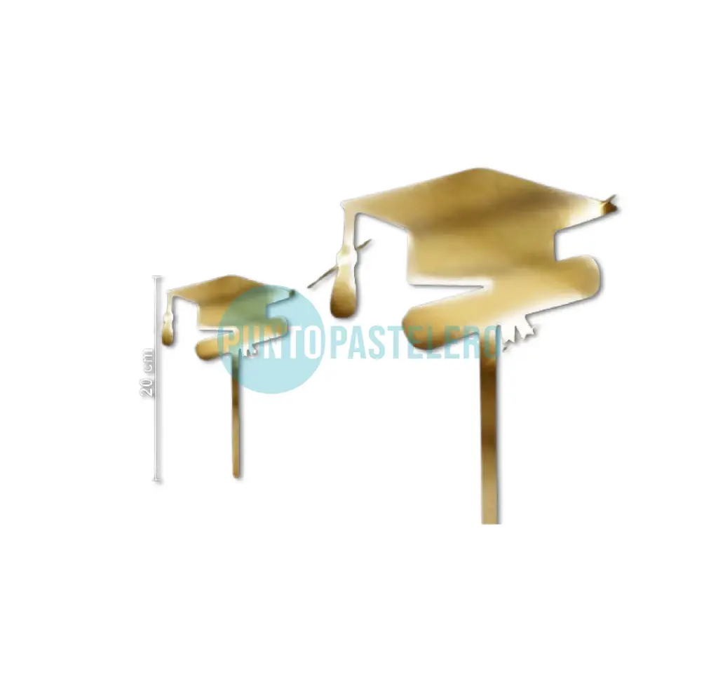 PINCHE FIBROFACIL EGRESADO DORADO