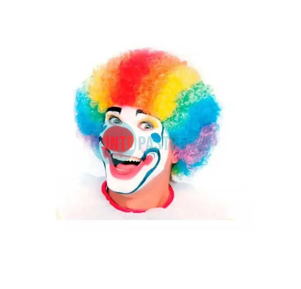 PELUCA PAYASO MULTICOLOR (PARTY STORE)