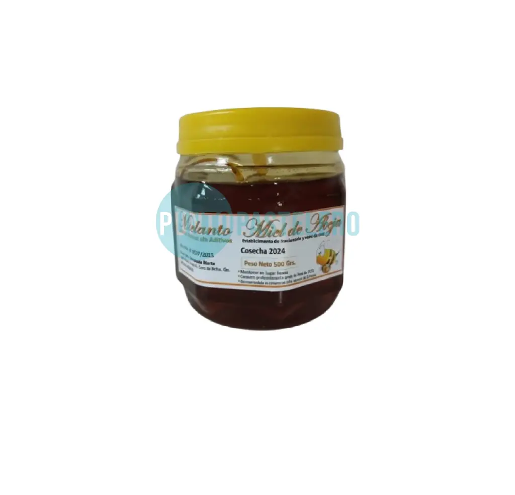 MIEL PURA (X 250 GR.)