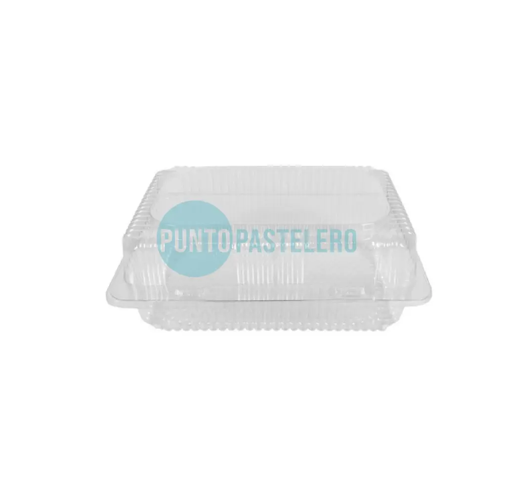 ESTUCHE SANDWICH ZAPLAST (22.5X15.5X10 CM)