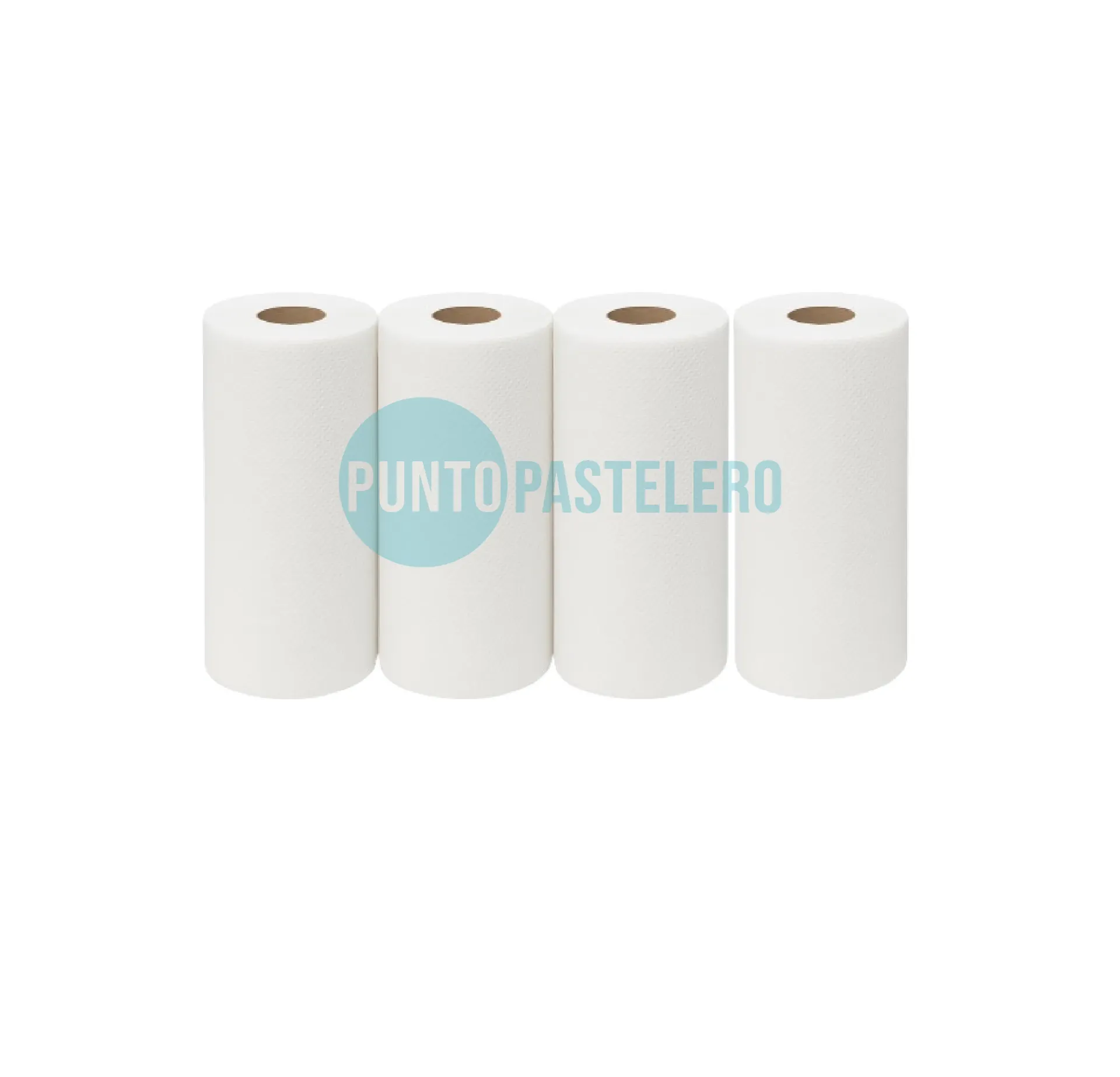 TOALLA EN ROLLO ECO (20X200) (4 U.)