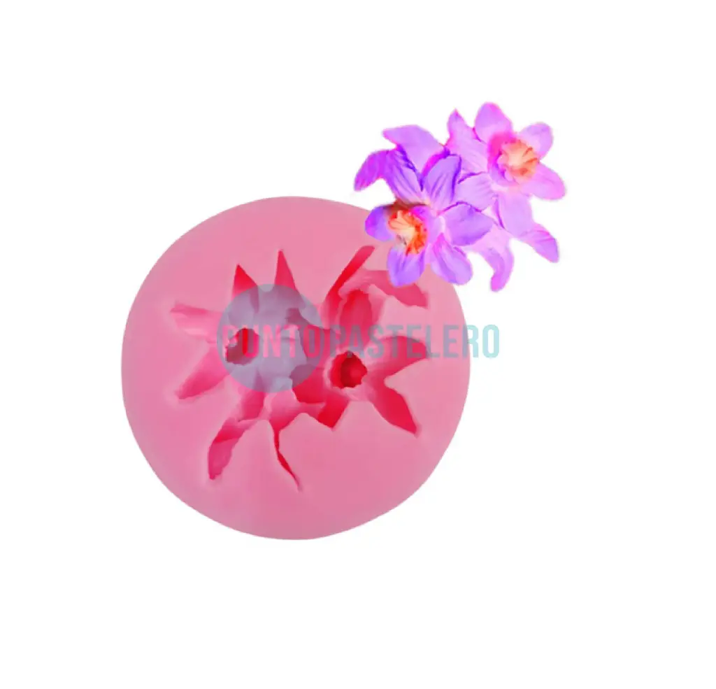 MOLDE SILICONA 2 ORQUIDEAS [C4]