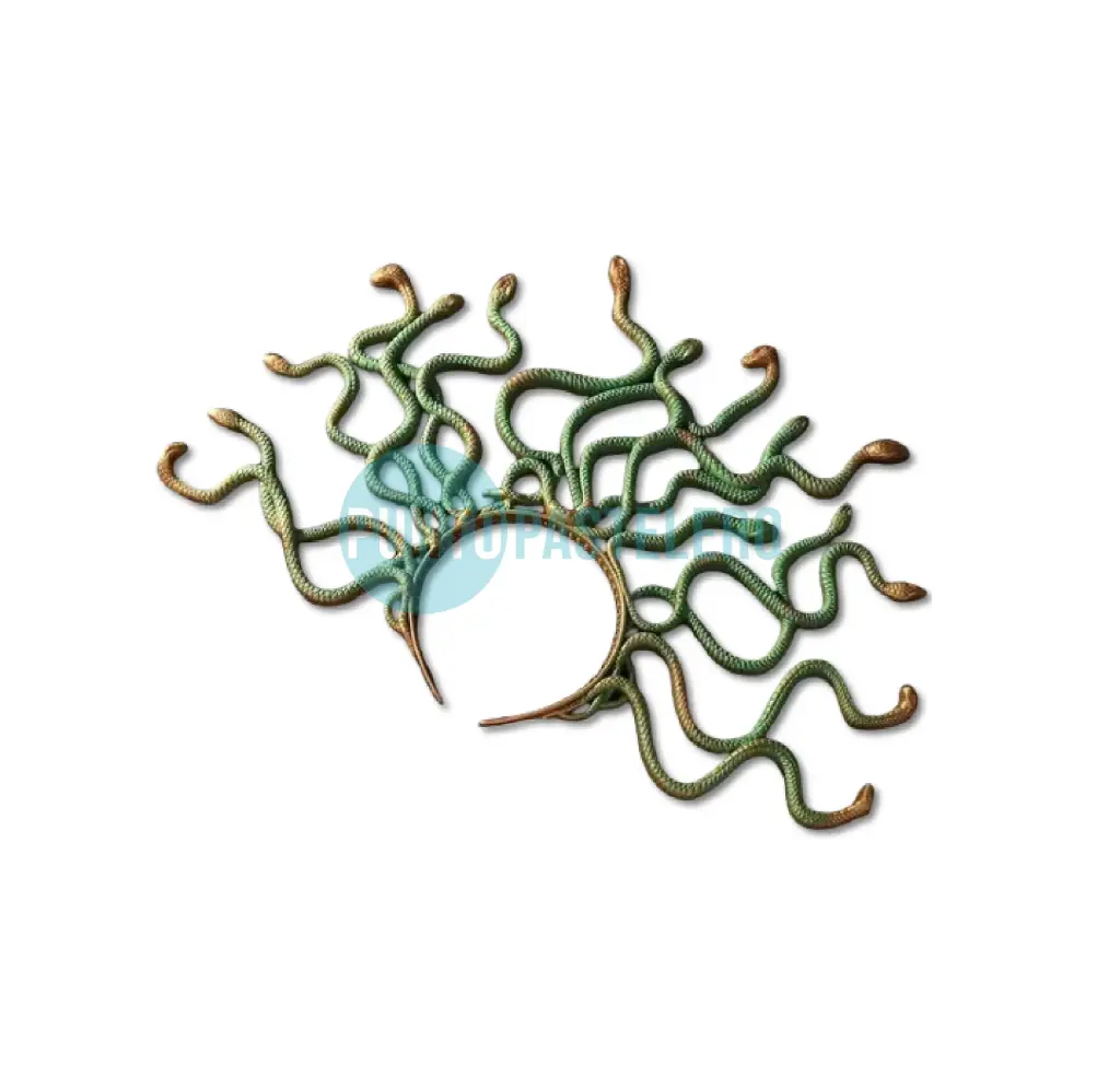 VINCHA MEDUSA (PARTY STORE)