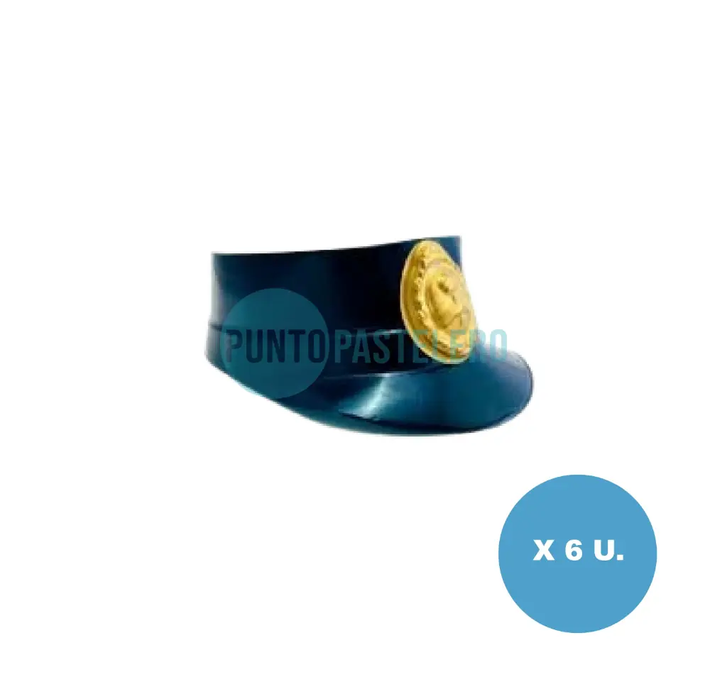 GORRO SOMBRERO POLICIA