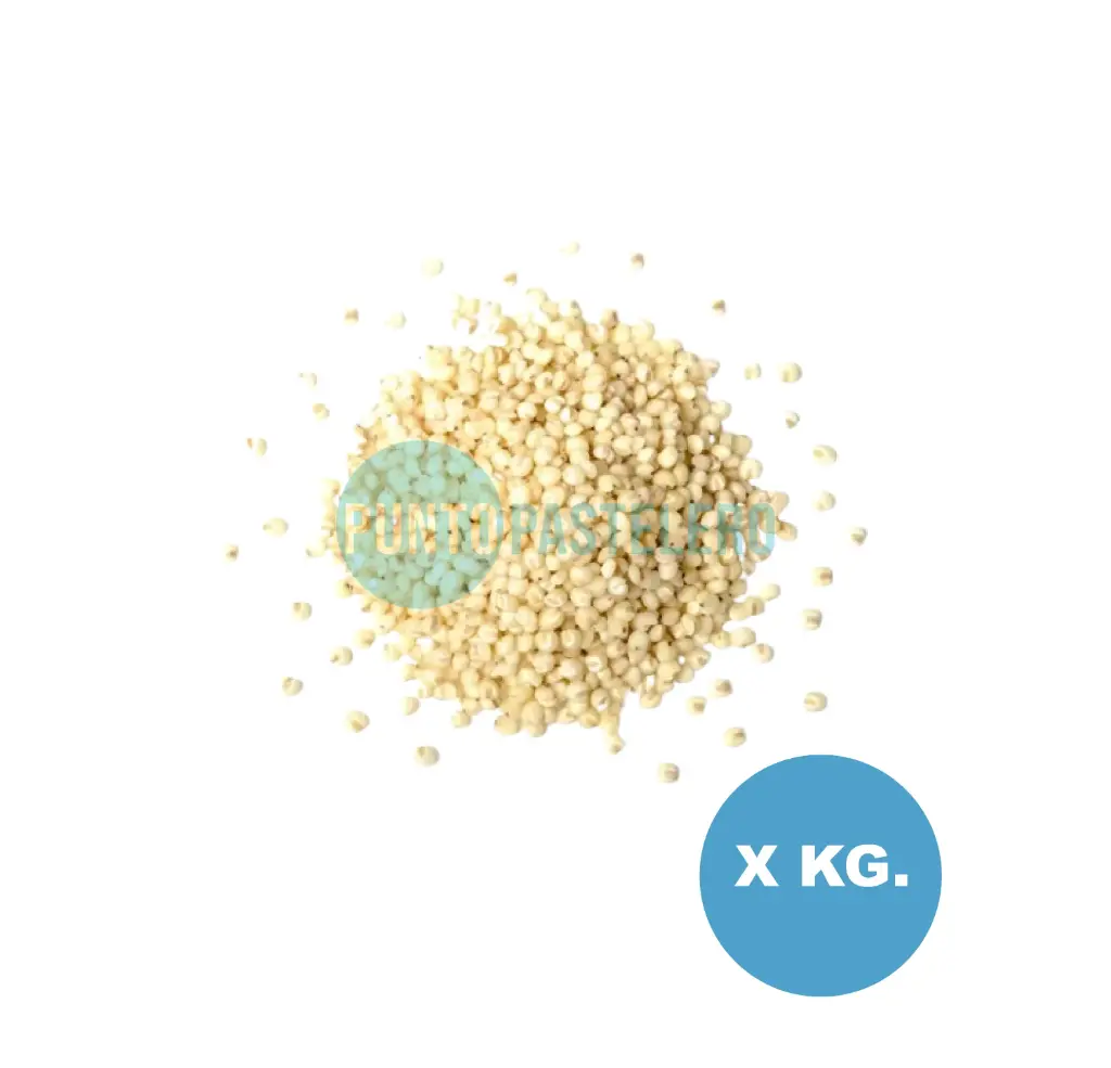 SEMILLAS POP (INFLADO) (X KG.)